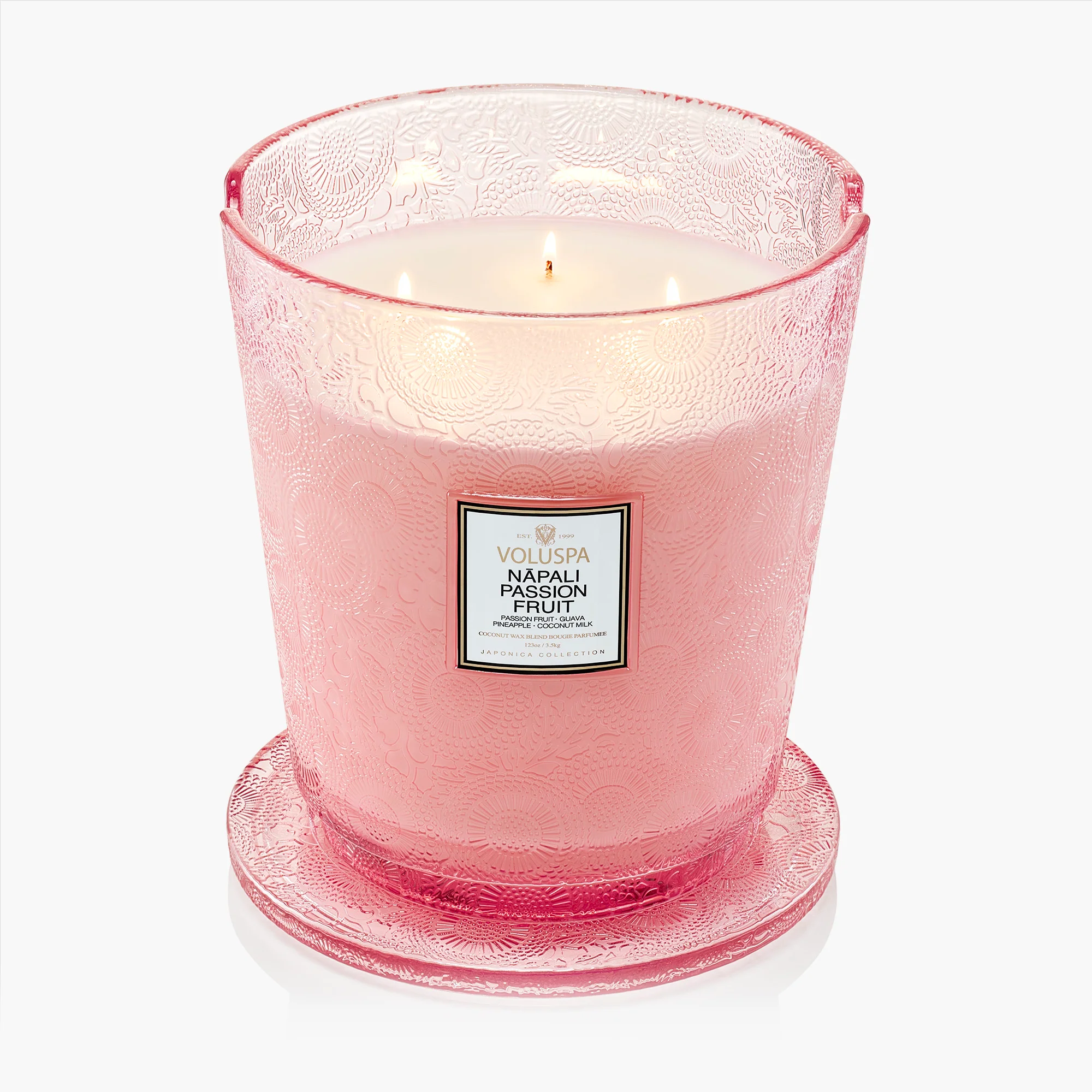 Nāpali Passion Fruit - 5 Wick Hearth Candle