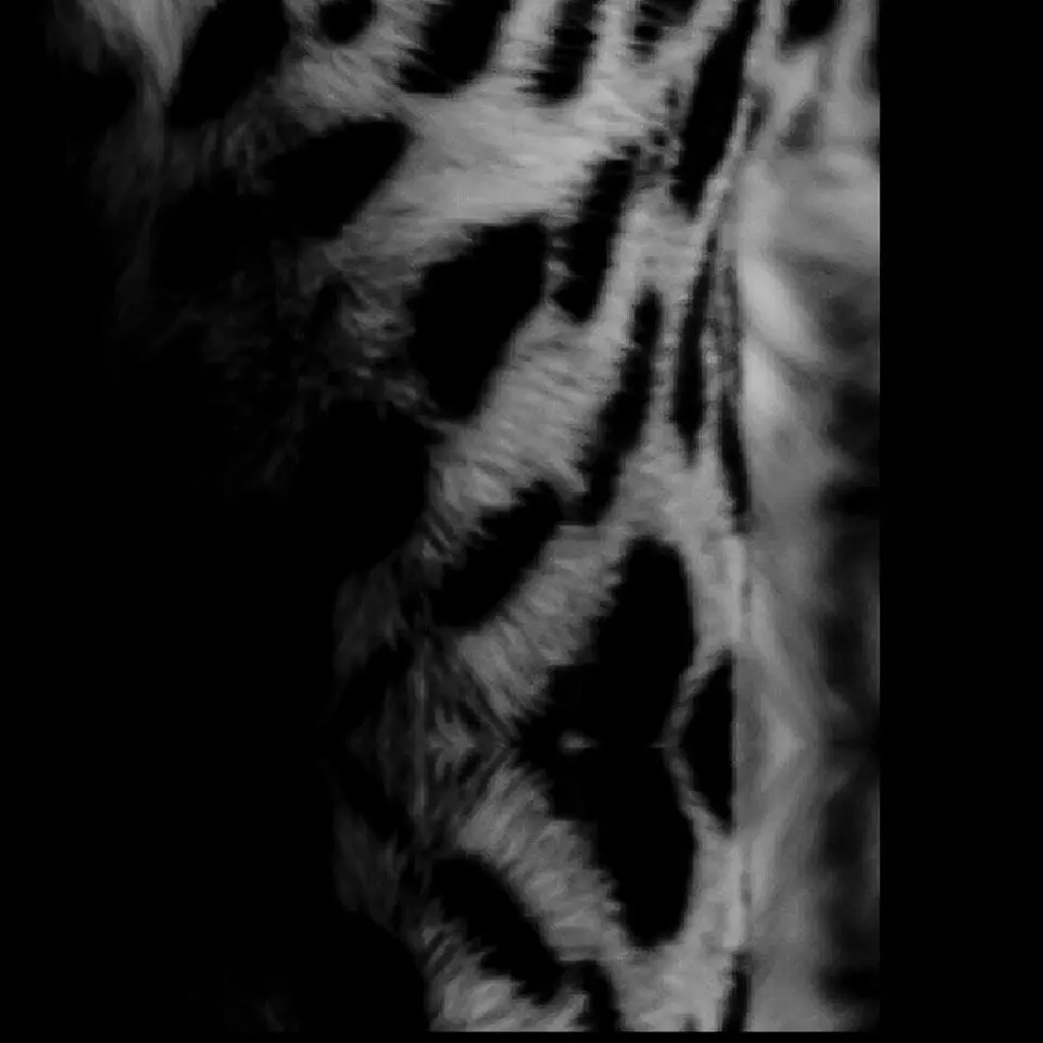 Deurmat Cheetah antraciet/blauw - 50x150 cm