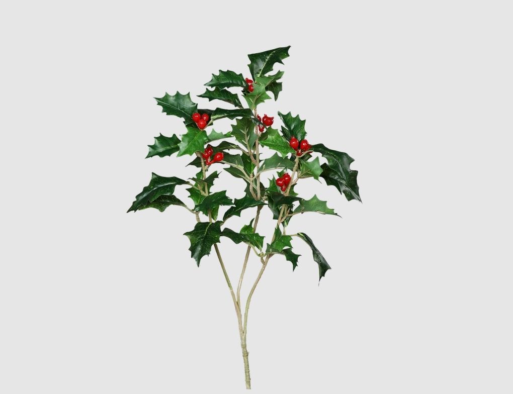 Ilexzweig mit roten Beeren