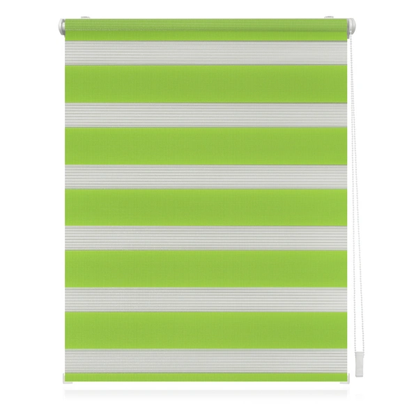 Duo-Rollo, Klemmfix, B x L: 110 x 150 cm, Polyester, grün