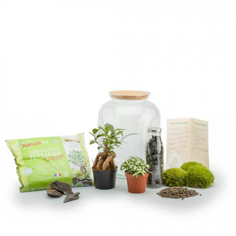 TERRA KIT - Kit terrarium plantes bonbonne s (25 x 31 cm)