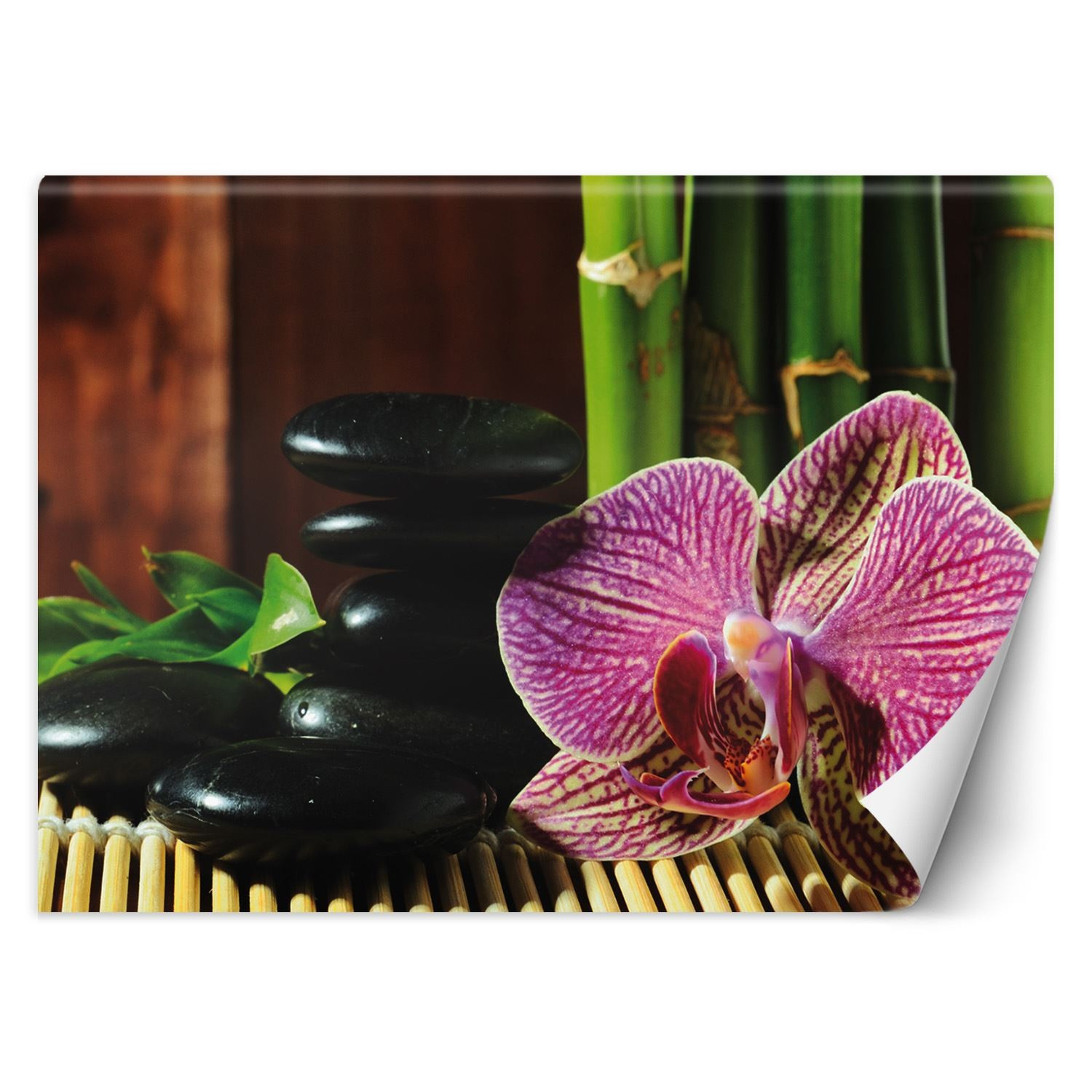 Feeby Fototapeta, Orchidea kamienie zen bambus 150x105
