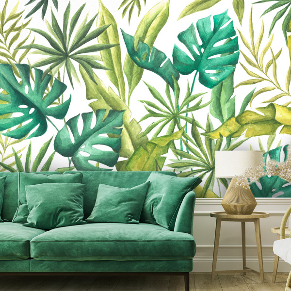Feeby Fototapeta, Liście Monstera 150x105