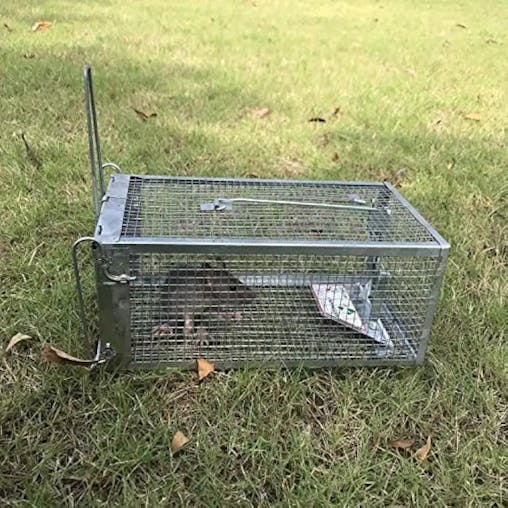 NNETM Humane Rat Trap - Metal Chipmunk and Rodent Trap (1pc)
