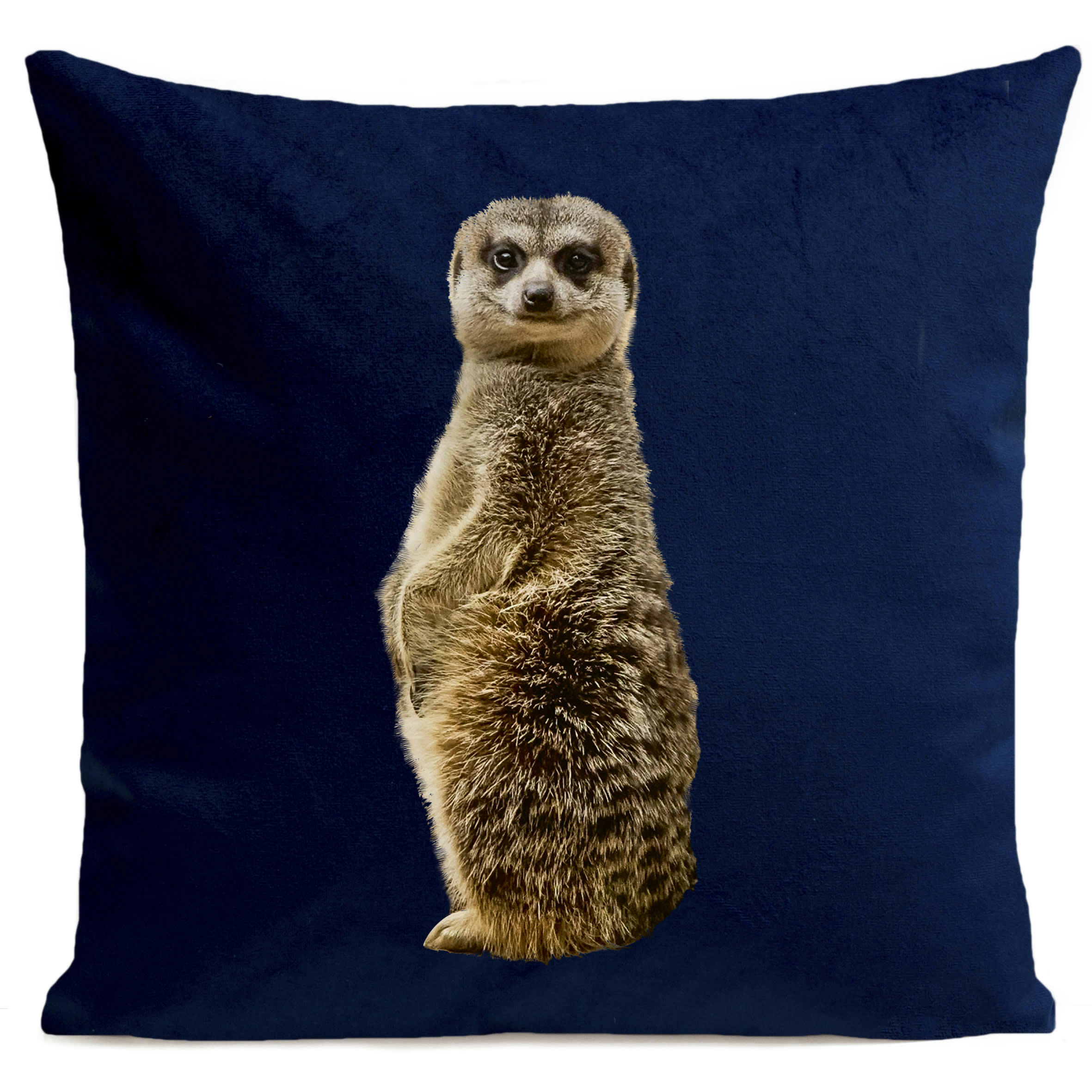 - Coussin jungle suricate suédine bleu 40x40cm