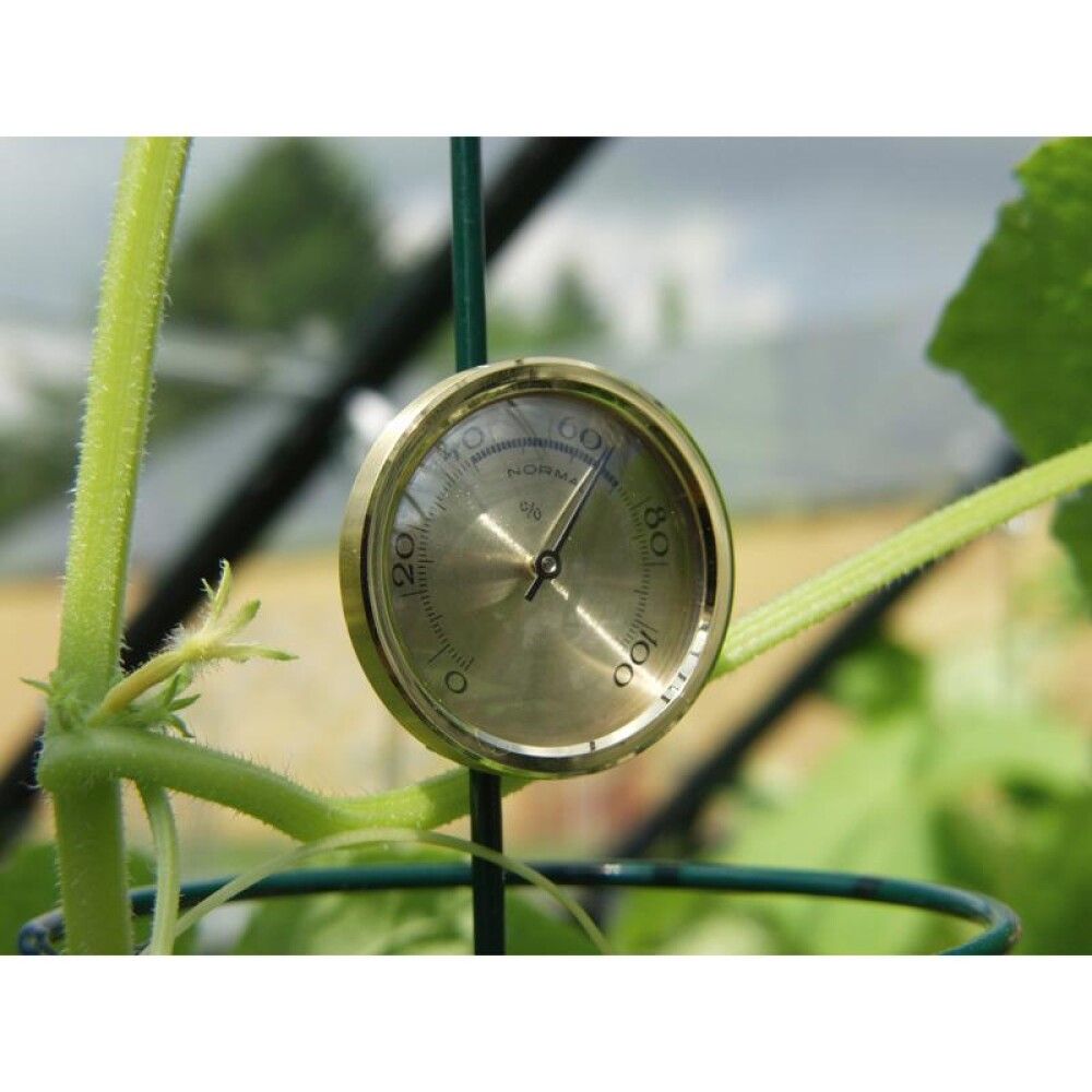 HYGROMETER VITAVIA