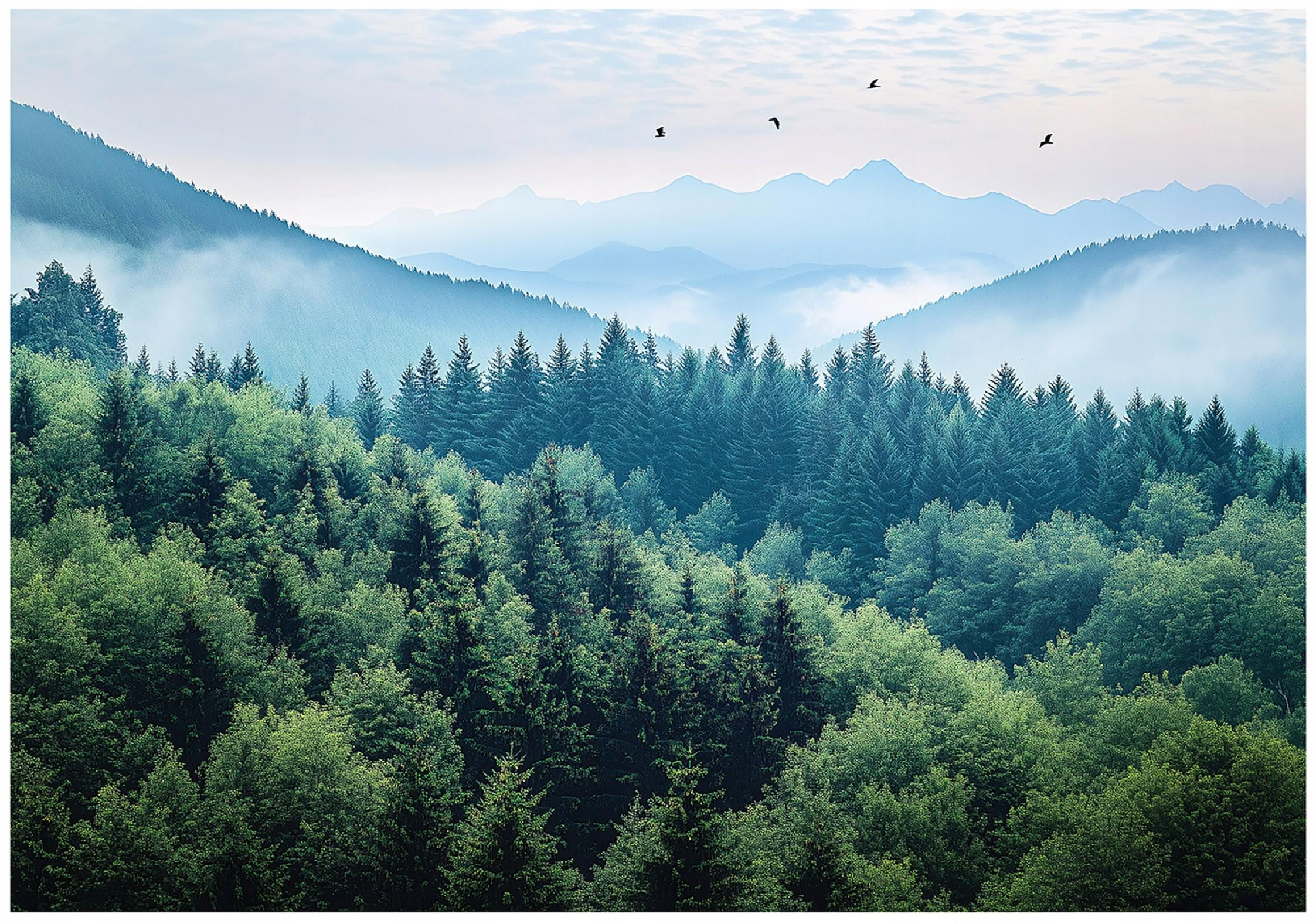 Fototapeta 3D Góry Las Mgła Natura Sypialnia Salon Tapeta Flizelina 250X175