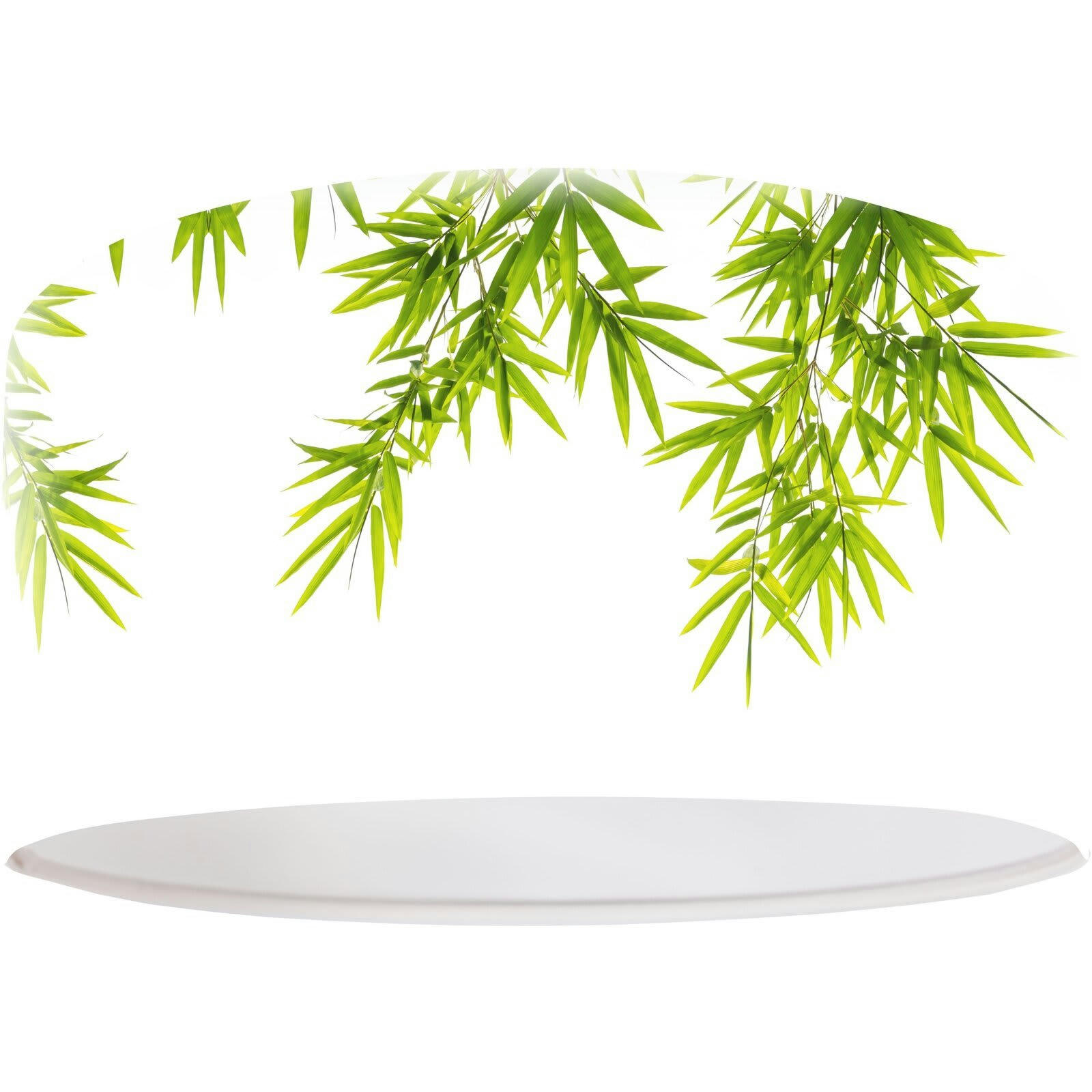 BOTHANICA - Suspension Tissu Vert