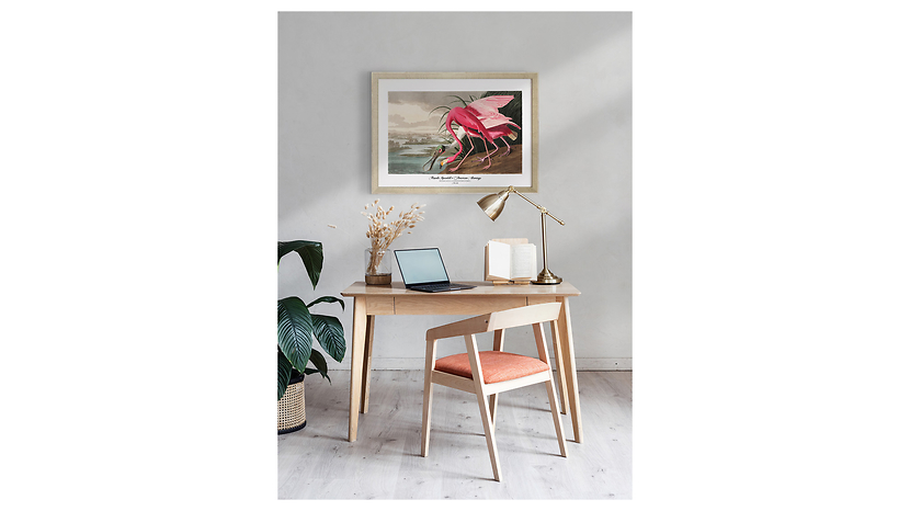 Obraz w ramie Sponbill And Flamingo76x56 cm