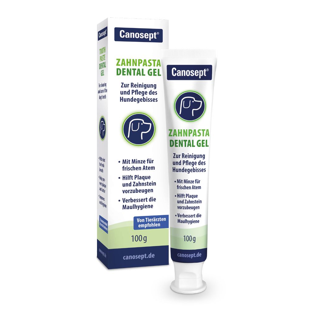 Canosept Dental Gel Toothpaste