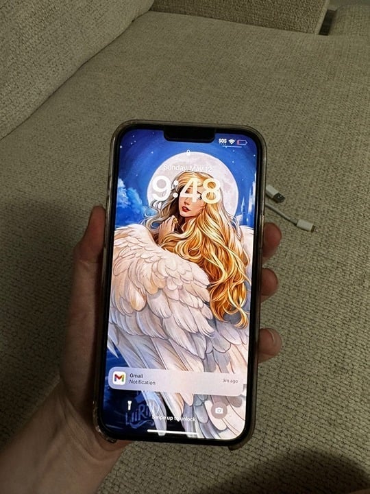 Iphone 13 pro max Gold 256 GB phone unlocked I DON