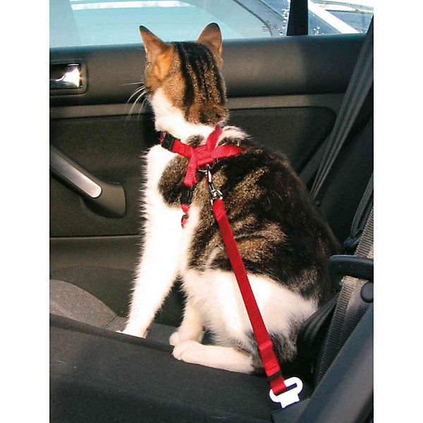 Harnais pour chatspéciale pour voiture