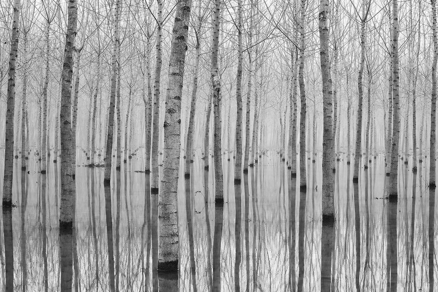 - Tableau nature automnale pieds dans l'eau imprimé sur alu 120x80cm