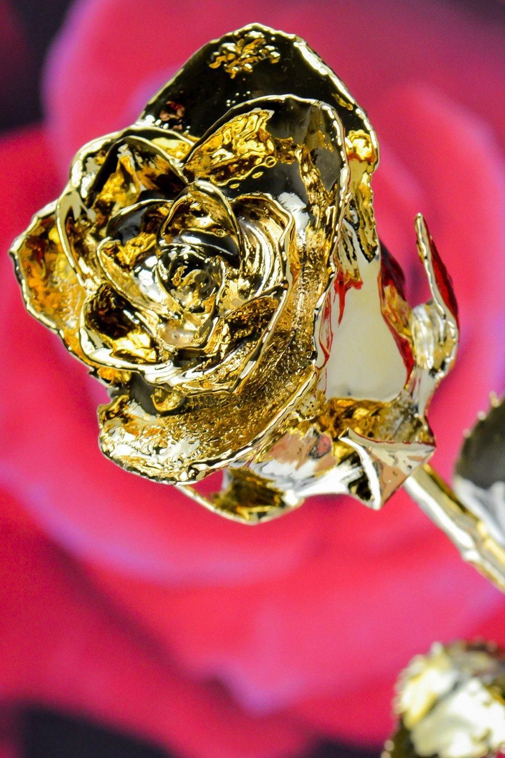 Mikamax 24k Gold Rose