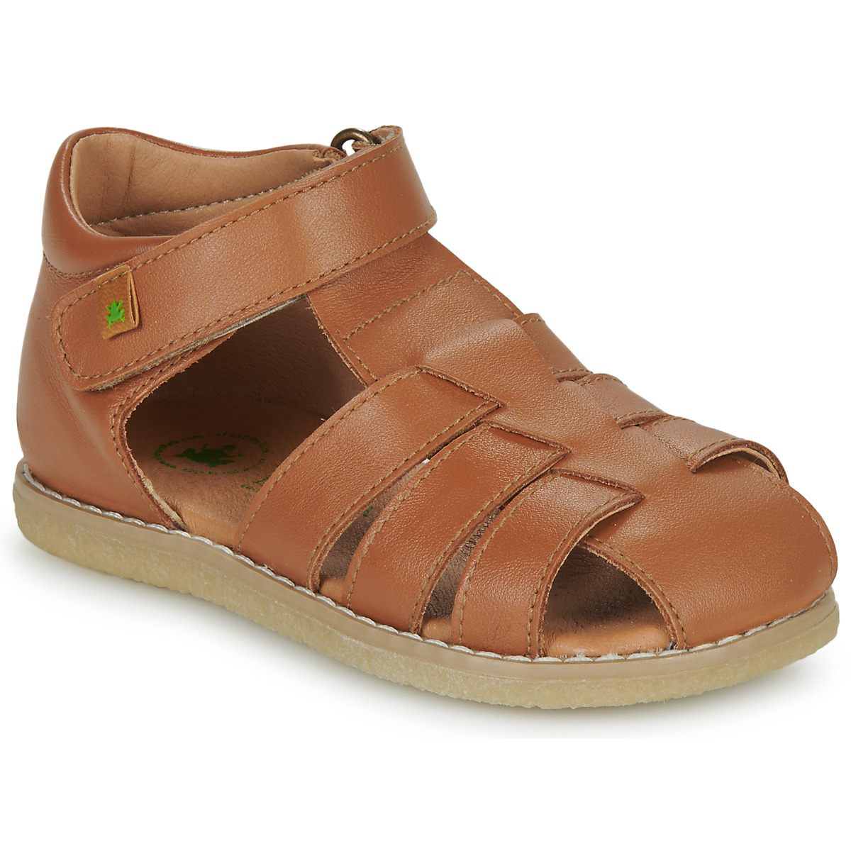 El Naturalista - Africa - Brown