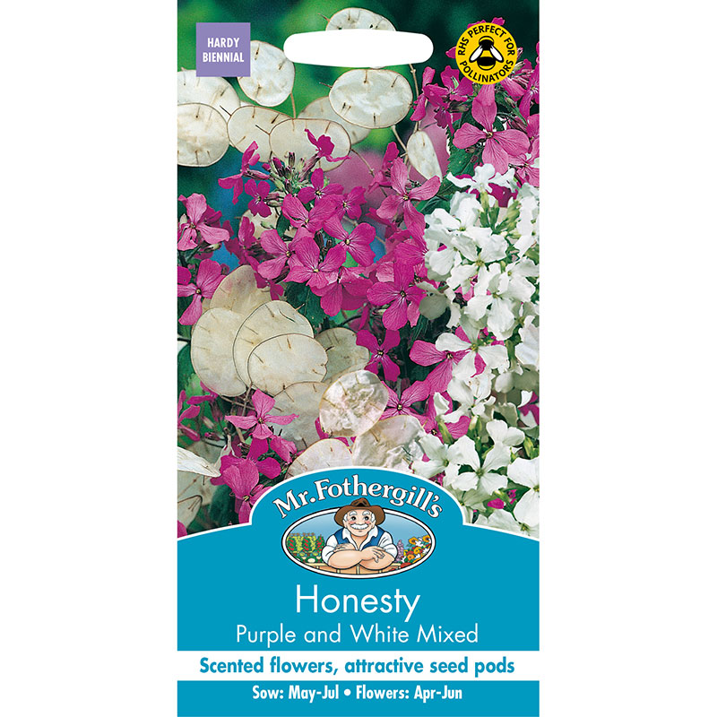 Judaspenningar 'Purple and White' mix