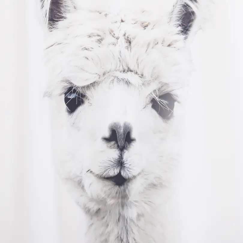 Duschvorhang Alpaca