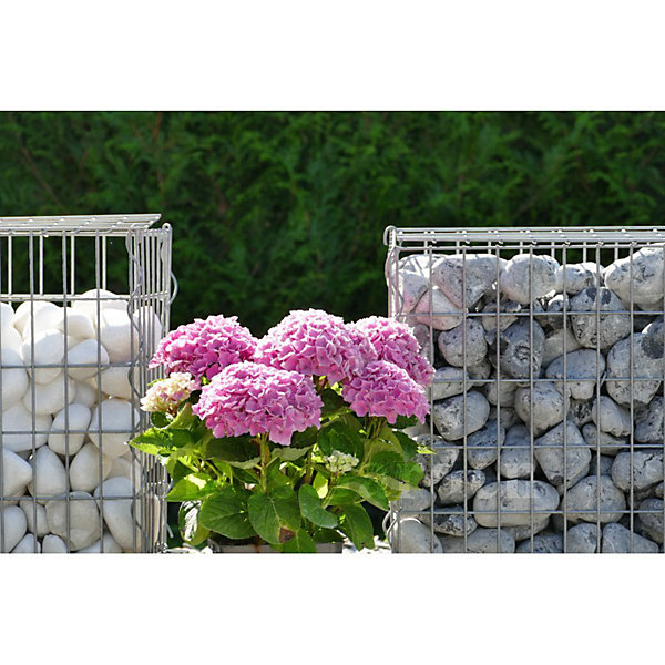ClassGarden - Galet Blanc Brillant 60-100
