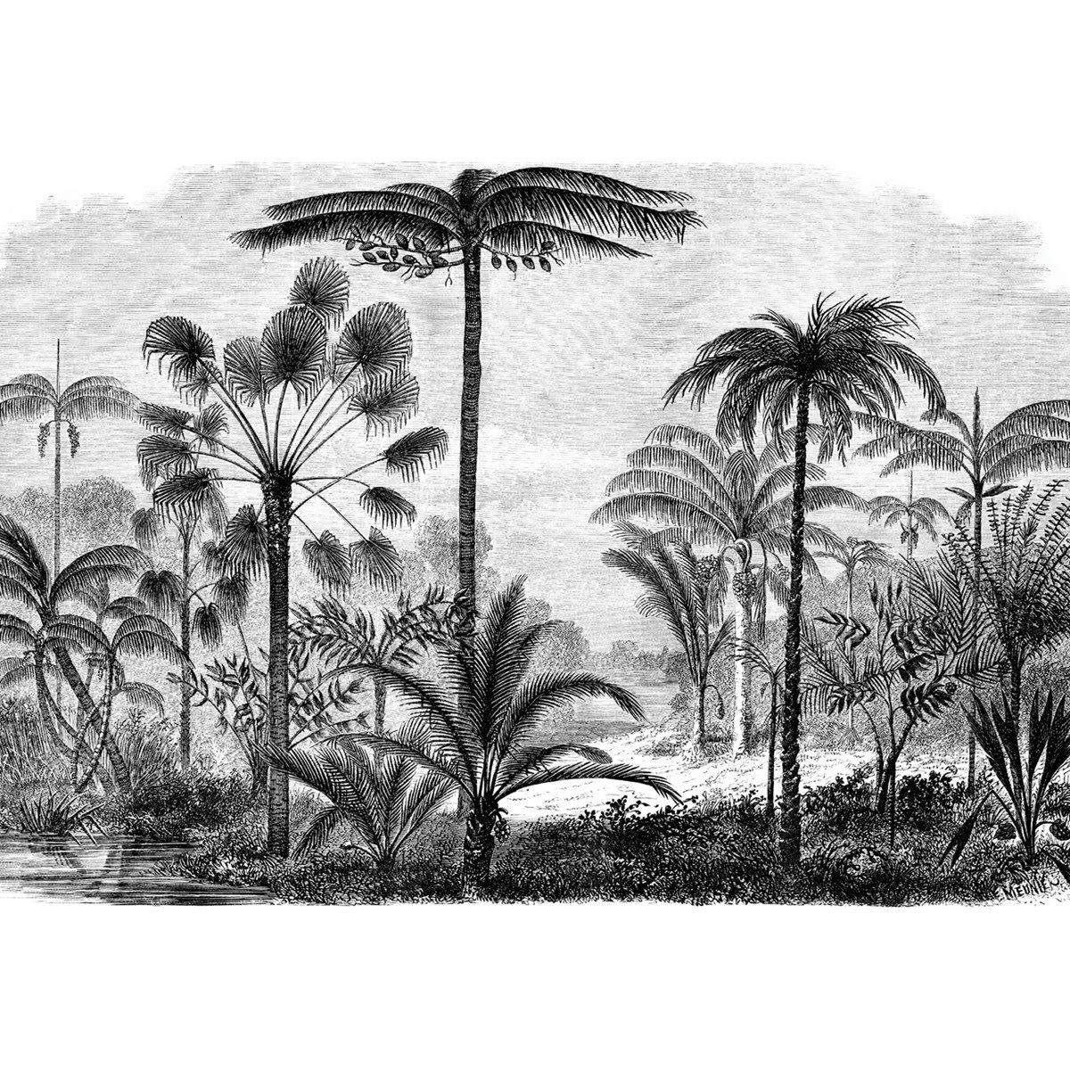 ALADIN - Papier peint panoramique en papier noir 432x300