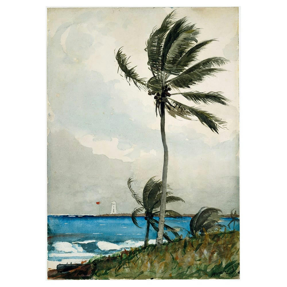 - Tableau palmier, nassau Homer Winslow 50x70cm