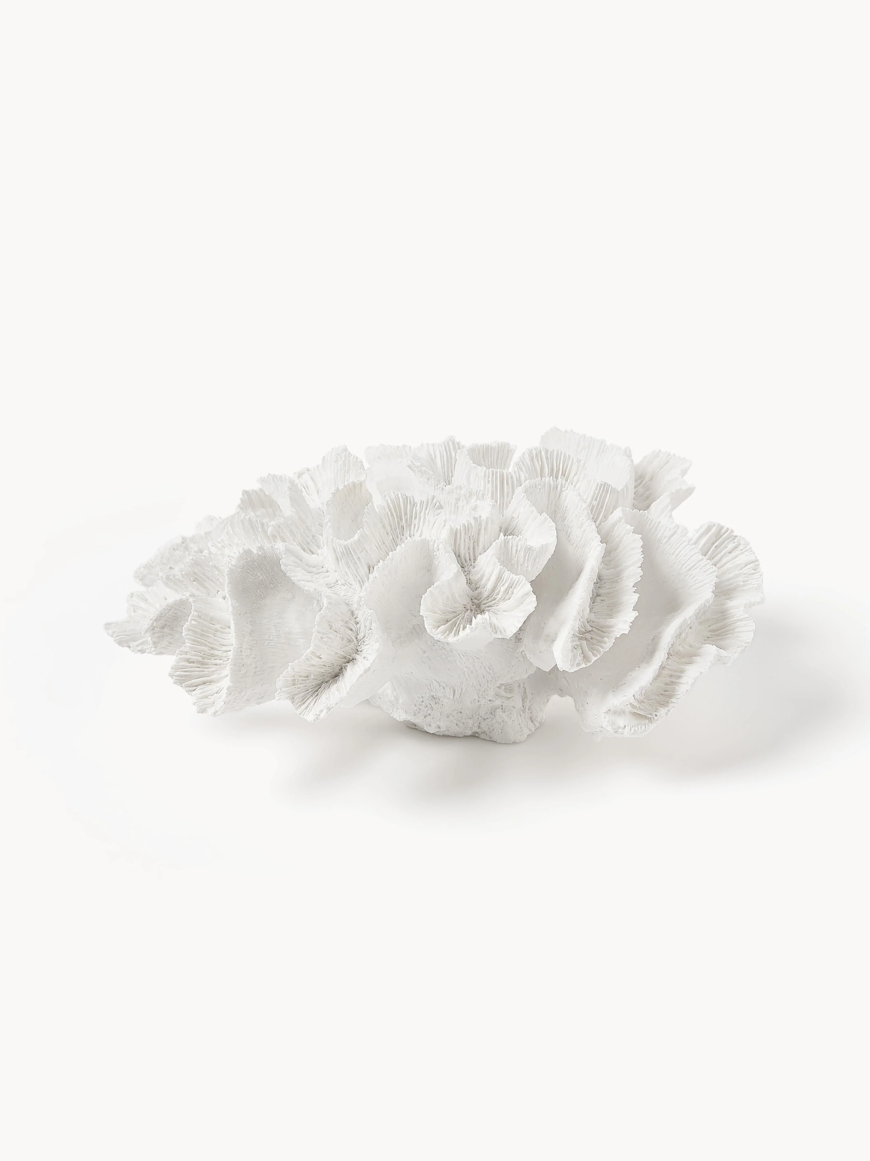 Design Deko-Objekt Coral