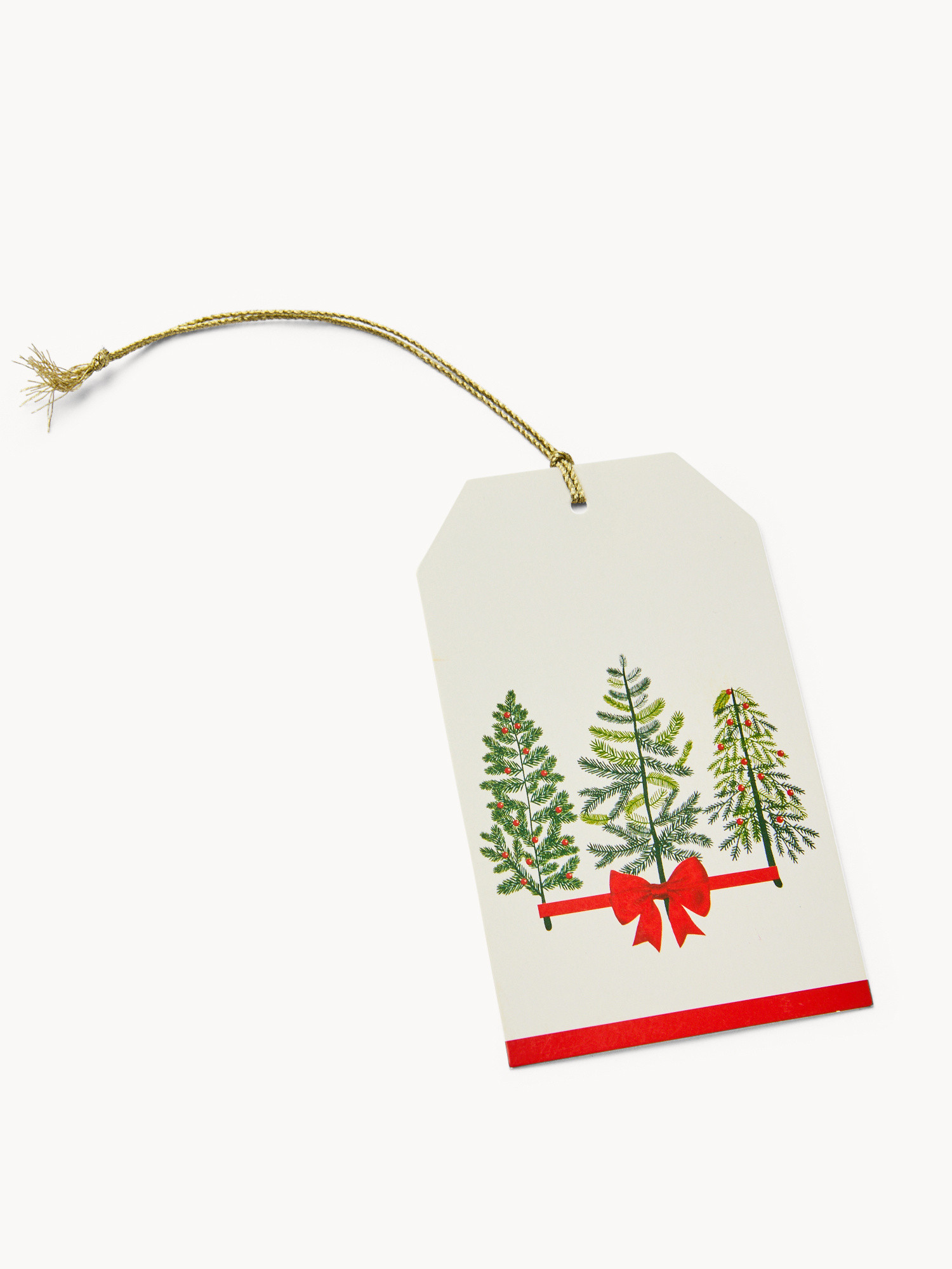 Set di 6 chiudi pacco