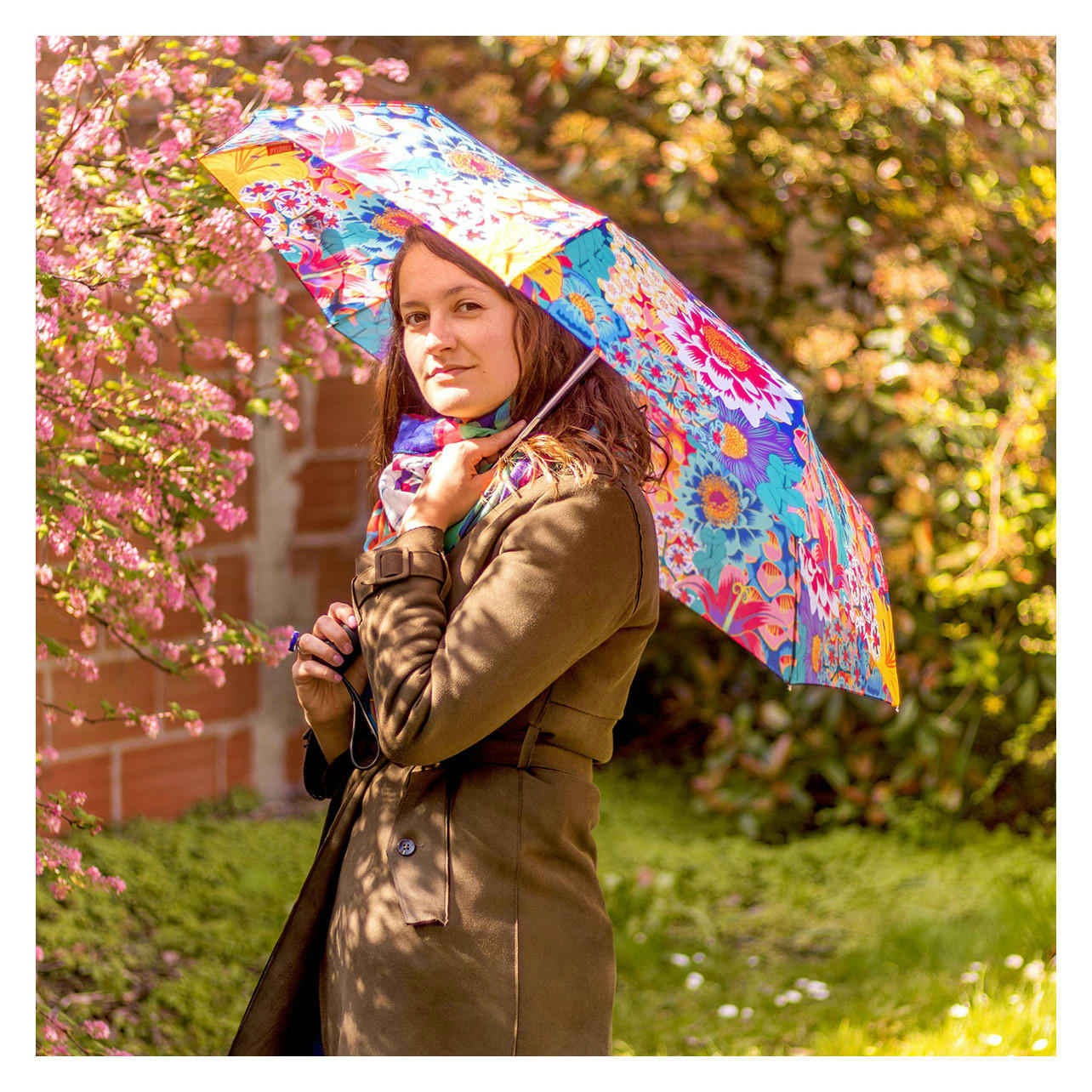 PARAPLI - Parapluie