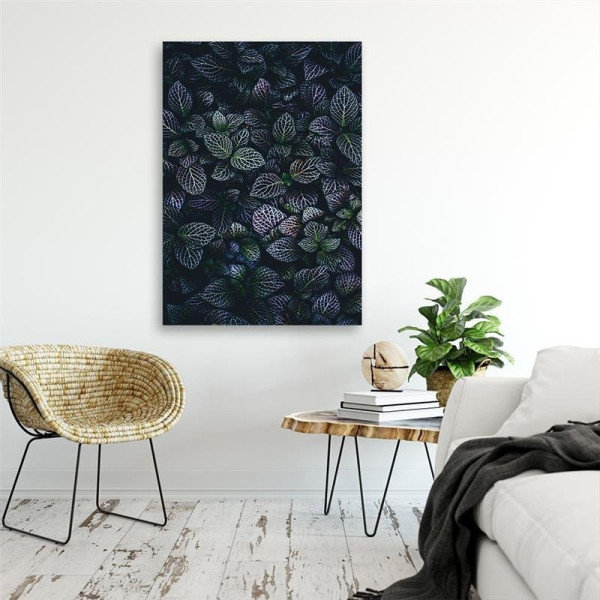 Feeby Obraz na płótnie, Liście rośliny natura 40x60
