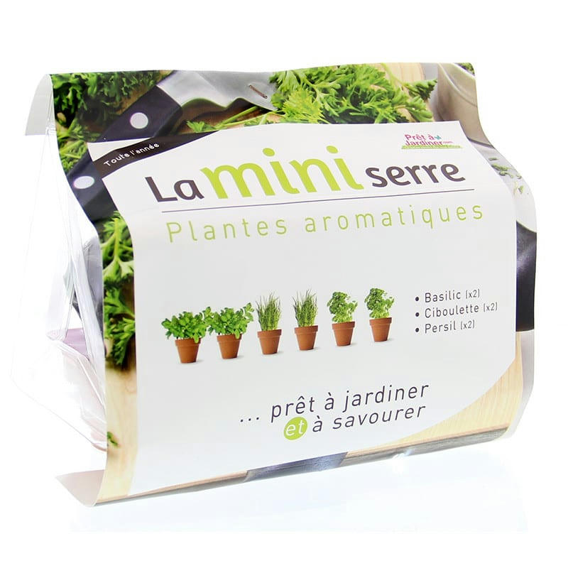 - Mini serre herbes aromatiques