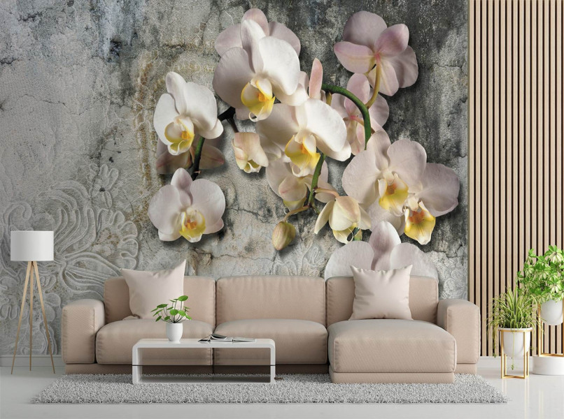 Feeby Fototapeta, Orchidea kwiaty na tle starej ściany 150x105