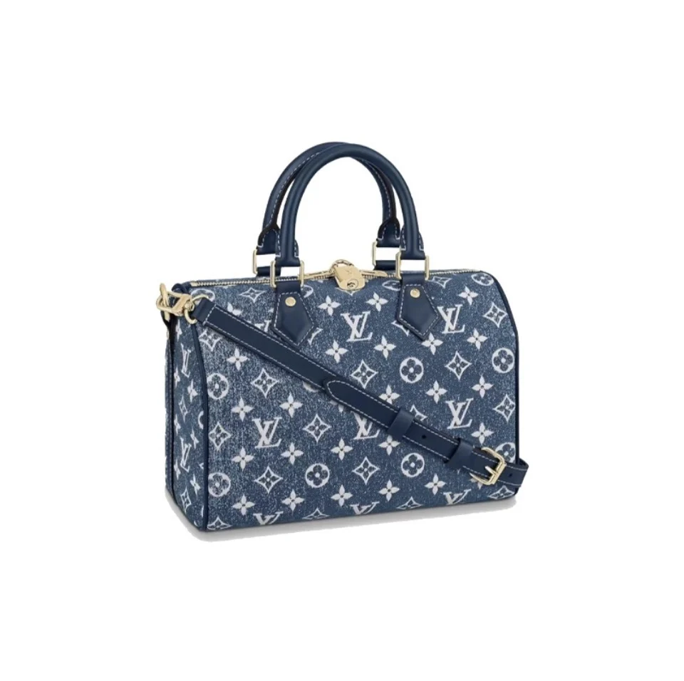 Louis Vuitton LV Speedy 25