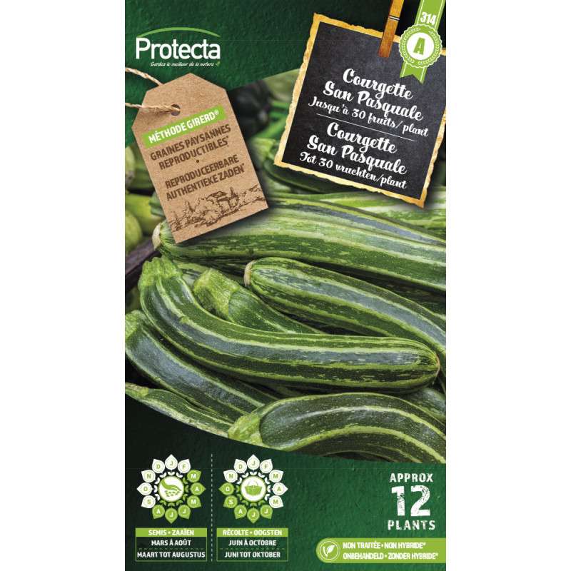 Semences de courgette San Pasquale PROTECTA