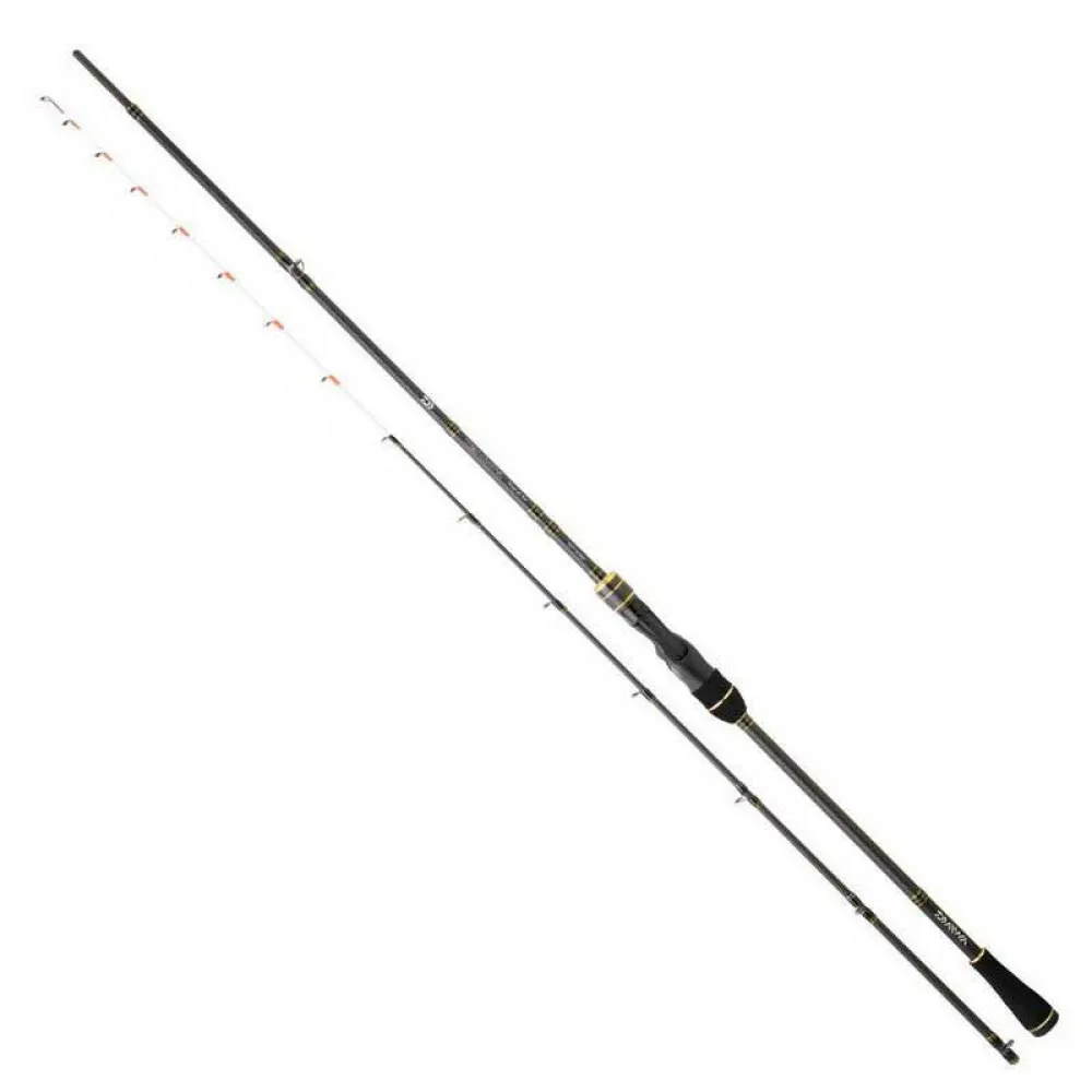 Daiwa Team Tenya 15 baitcasting rod