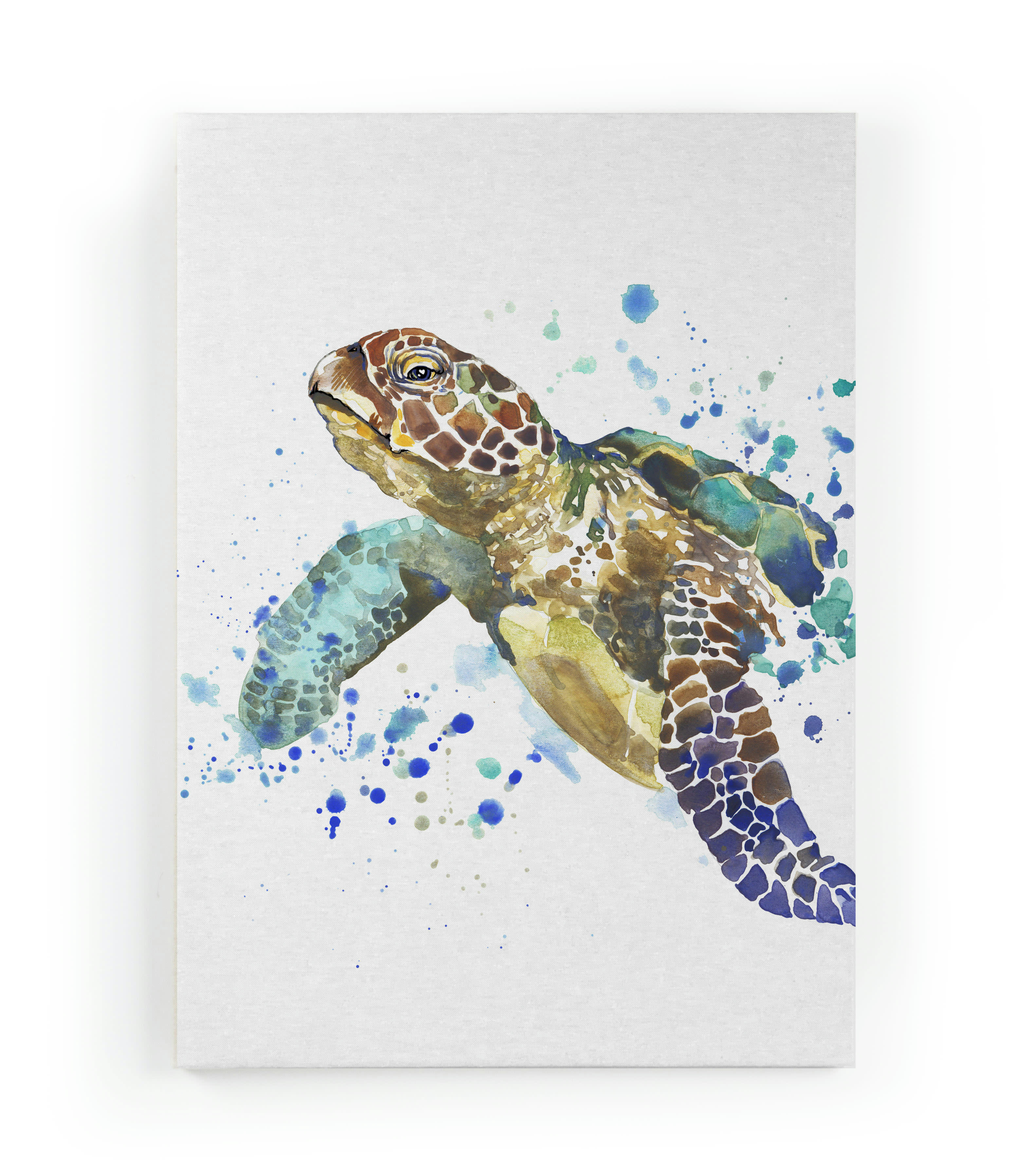 TURTLE - Peinture sur toile 60x40 imprimé HD tortue