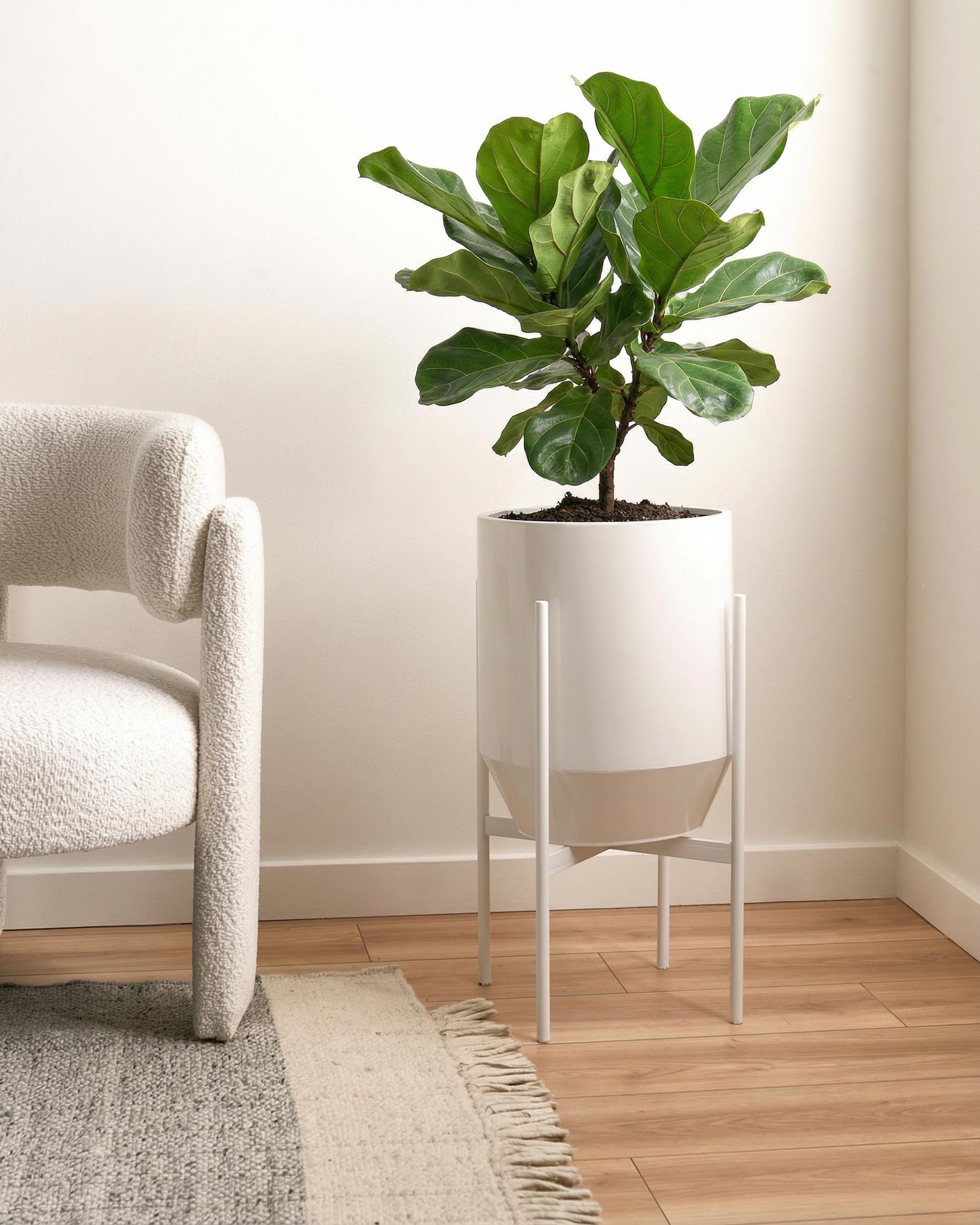 Elevated Plant Pot HYBRIDUM Metal 33 cm White