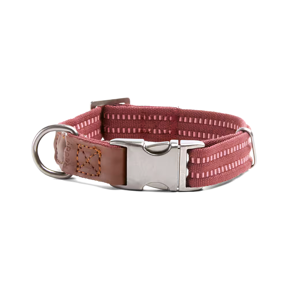 Reddy Burgundy Webbed Dog Collar