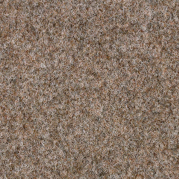 Moquette Extérieure Gazon Park Miraculeux, Beige clair 200 x 500 cm - Floordirekt