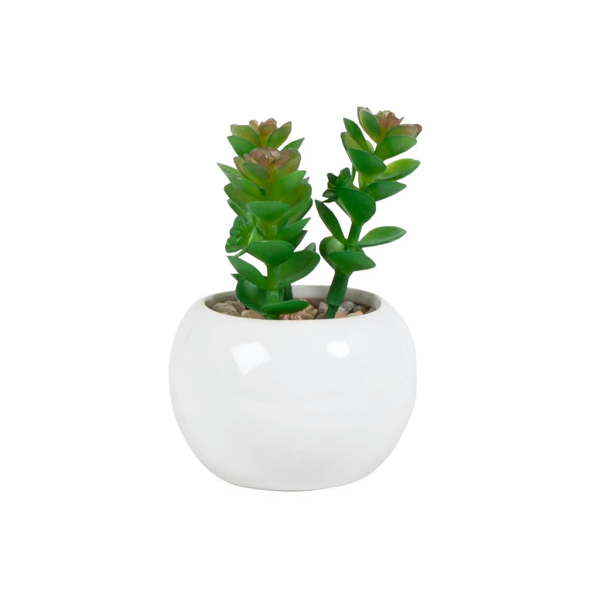 MARION - Succulente artificielle et pot en grès blanc
