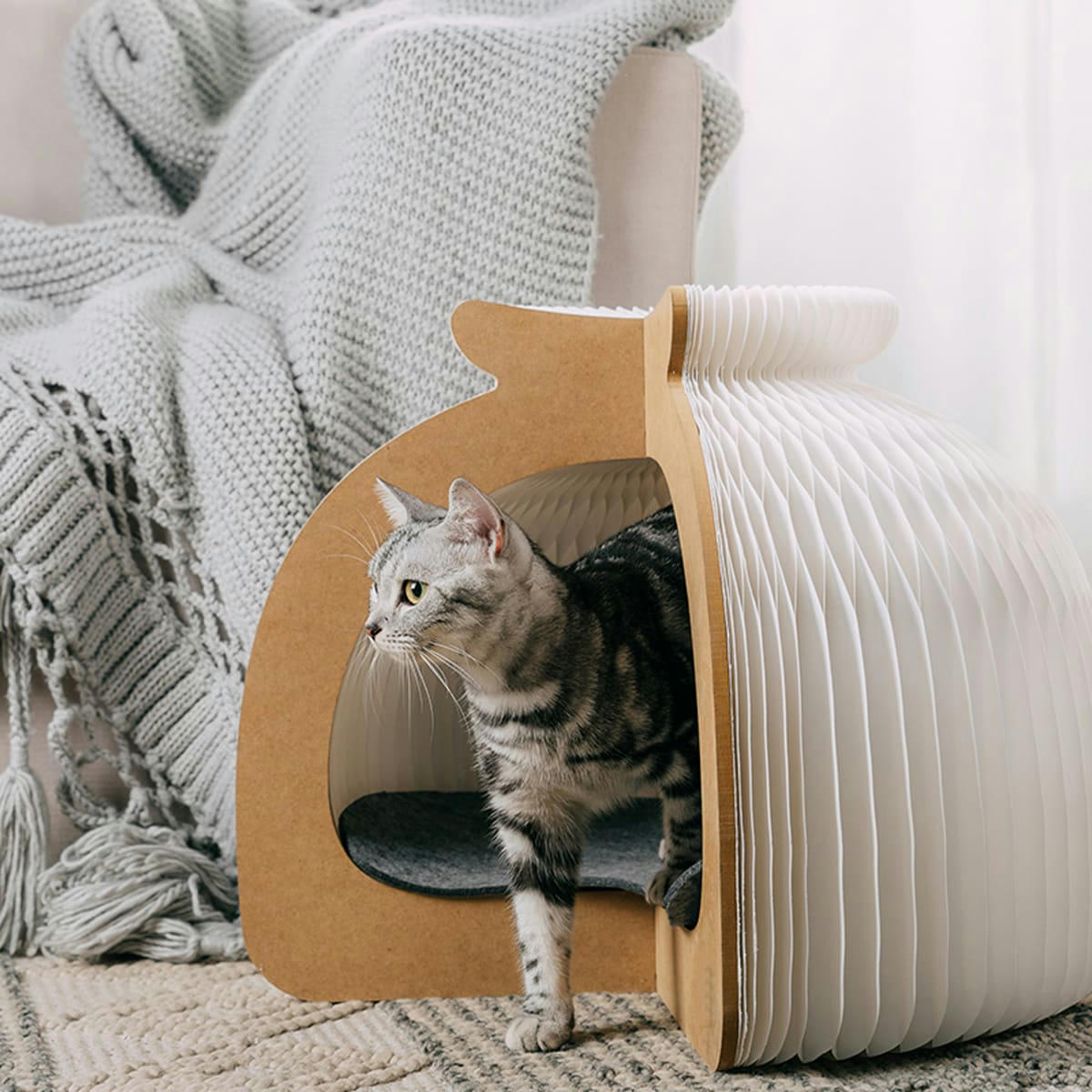 CATTY - Niche pliable blanche pour chat en carton