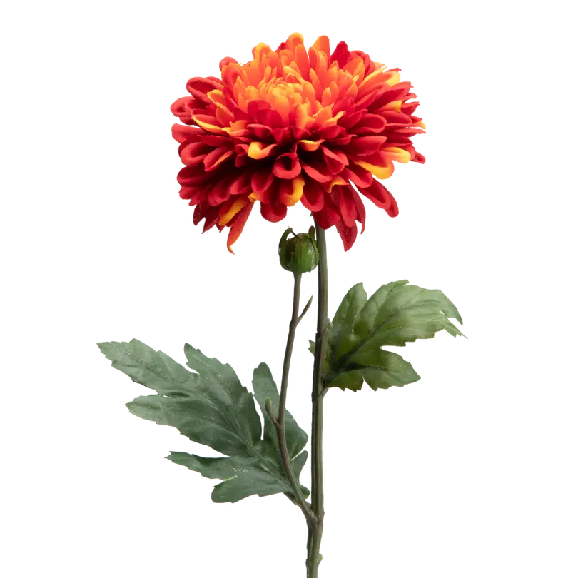 Dekozweig FLORA