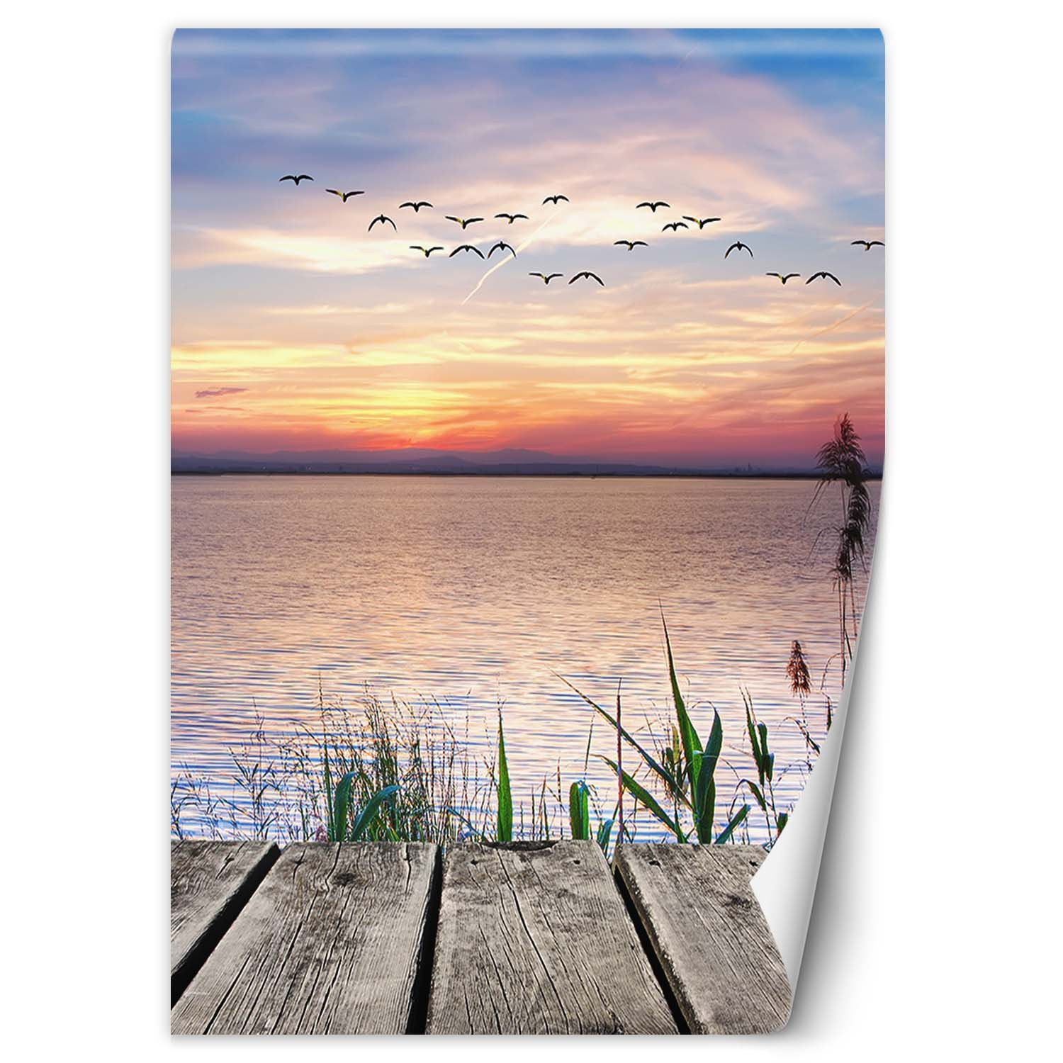 Feeby Fototapeta, Ptaki nad morzem 100x140