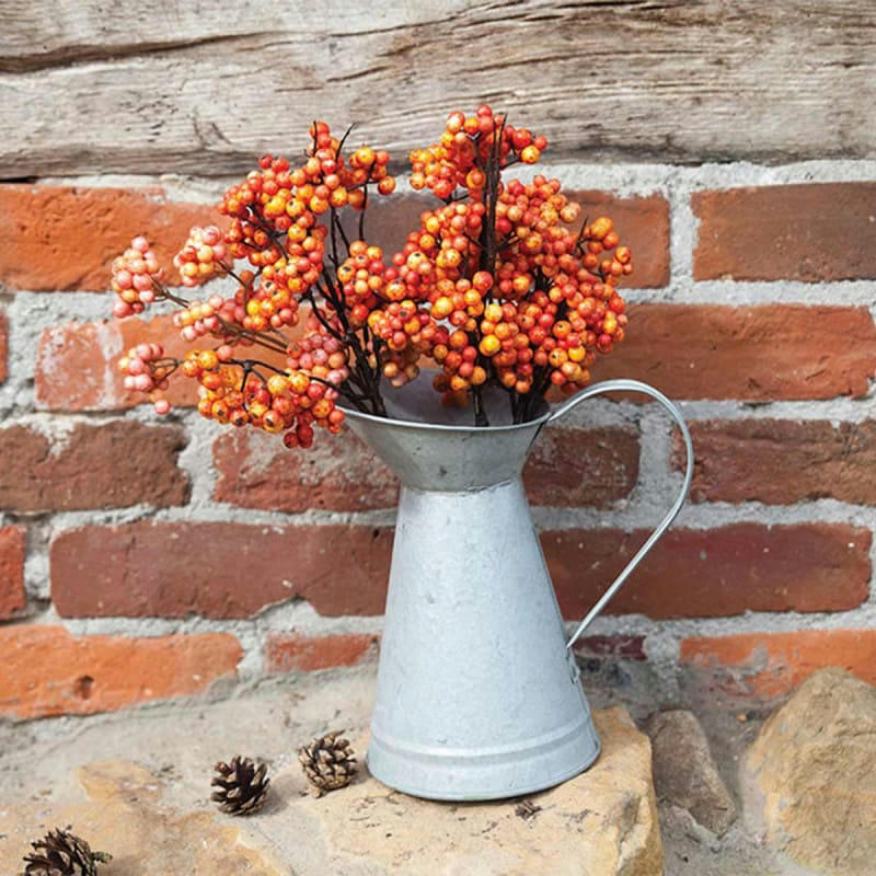 - Arrosoir Zinc bec canard