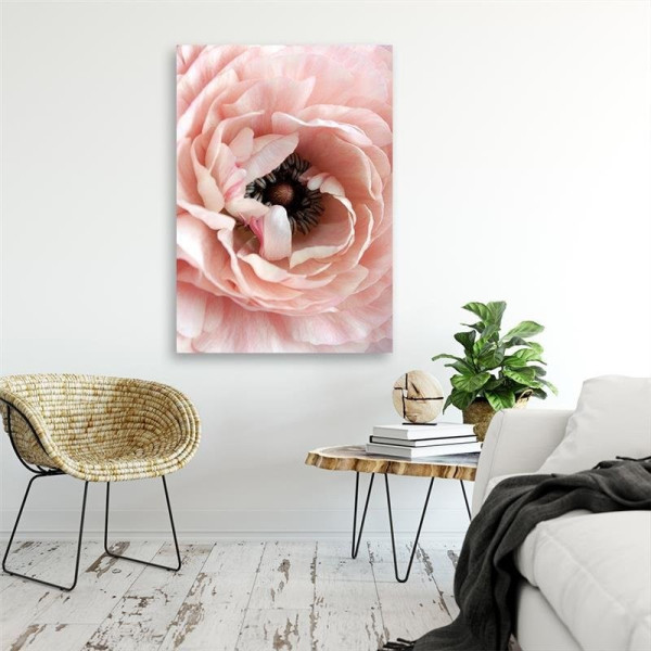 Feeby Obraz na płótnie Pastelowy kwiat piwonii 40x60