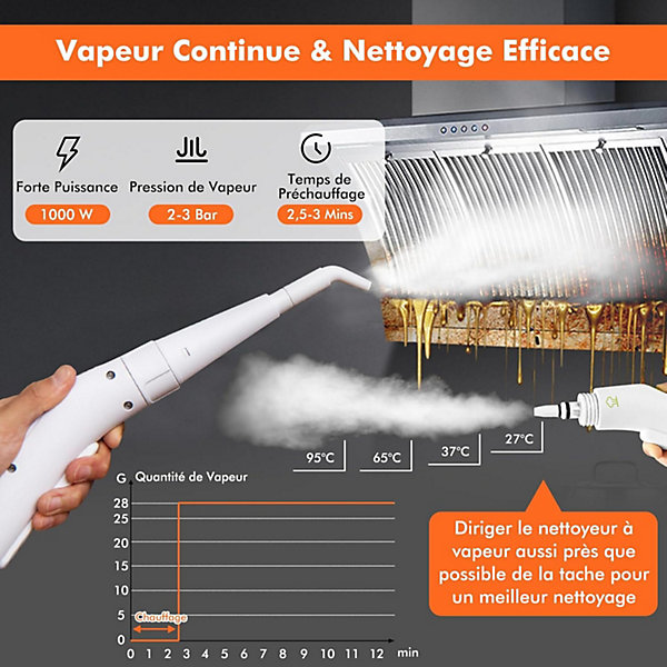 Nettoyeur Vapeur à Main 1000W 3 Bars de Pression Nettoyage à Vapeur Portable de Réservoir Eau 300 ml