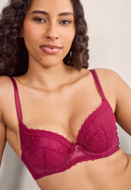 Womens Red Mesh Spot Briefs