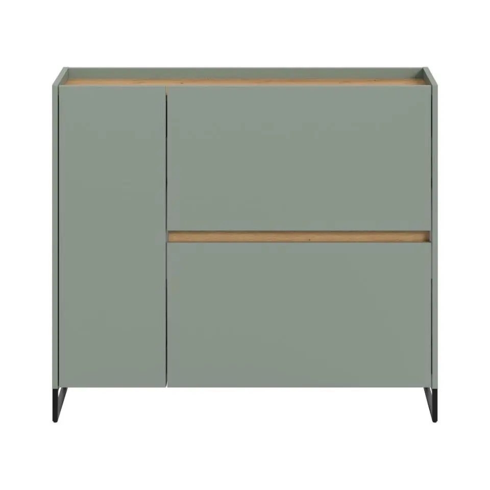 Hioshop Drive schoenenkast 1 deur- 2 vouwdeuren salvie decor