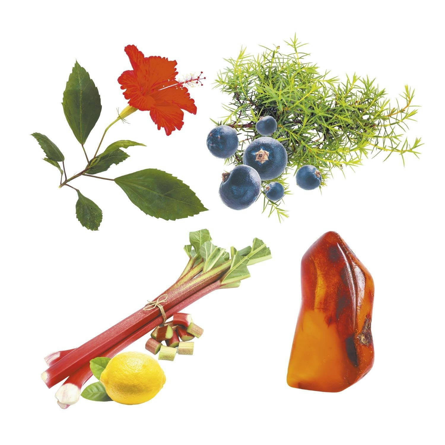 - 4 parfums pour bougie - Printemps