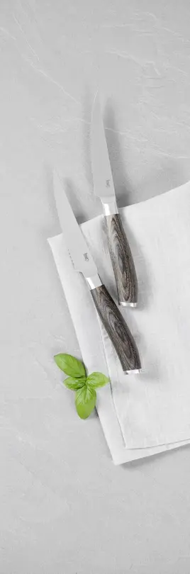 Steakmesser-Set 4-teilig Toronto