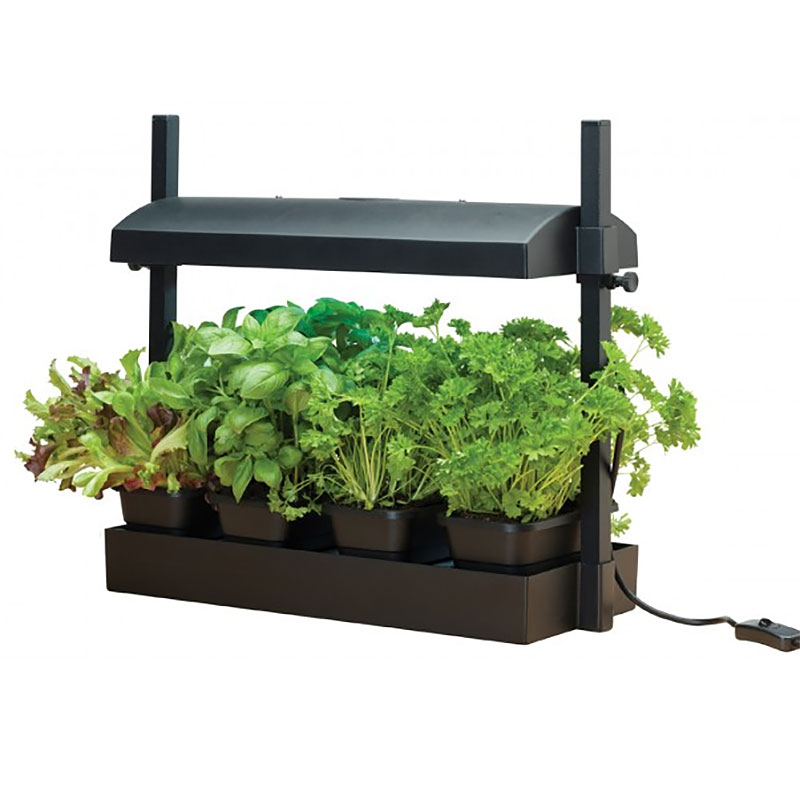 Odlingsstation LED liten, svart