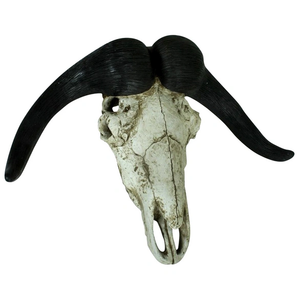 Geweih, Bison, Polyresin, braun/weiß
